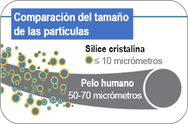 muestra lo pequeñas que son las partículas de sílice cristalina, en comparación con un pelo humano.