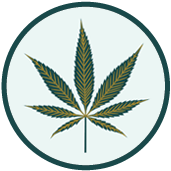 Cannabis Smoke Icon